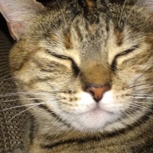 Meet your Posher, Gwyneth